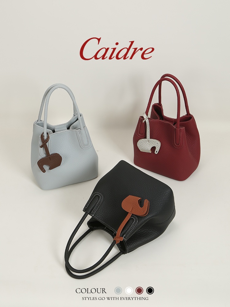 Caidre Luxury Tote Bag 2026 Ne - Luxury Bags Japan 评论和价格